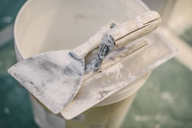 Best Mold-Related Health Consultation  in Dover, FL